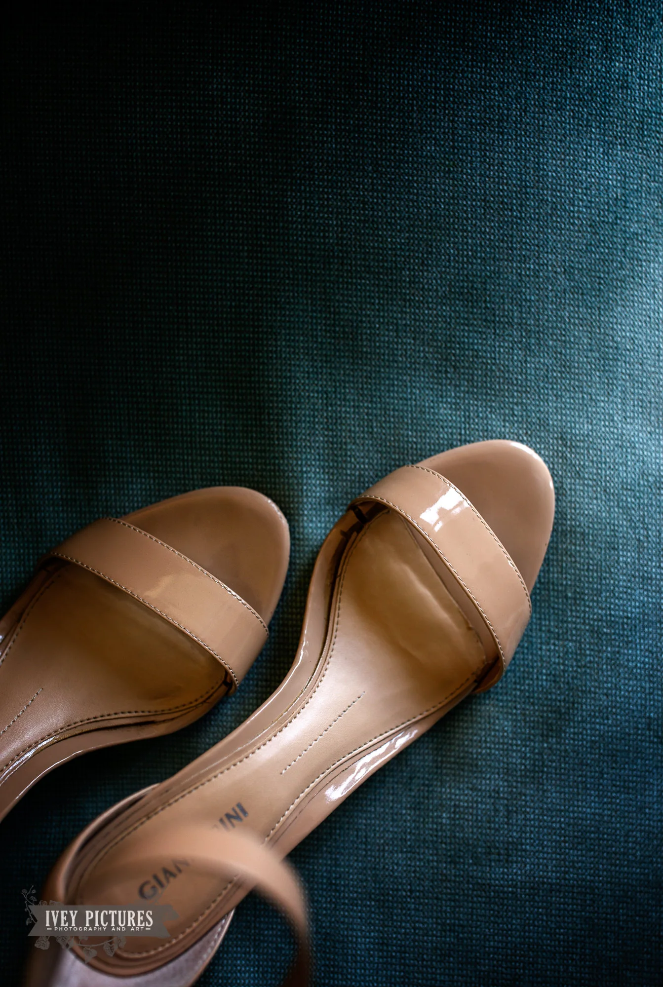 KDfavorites-4.jpg