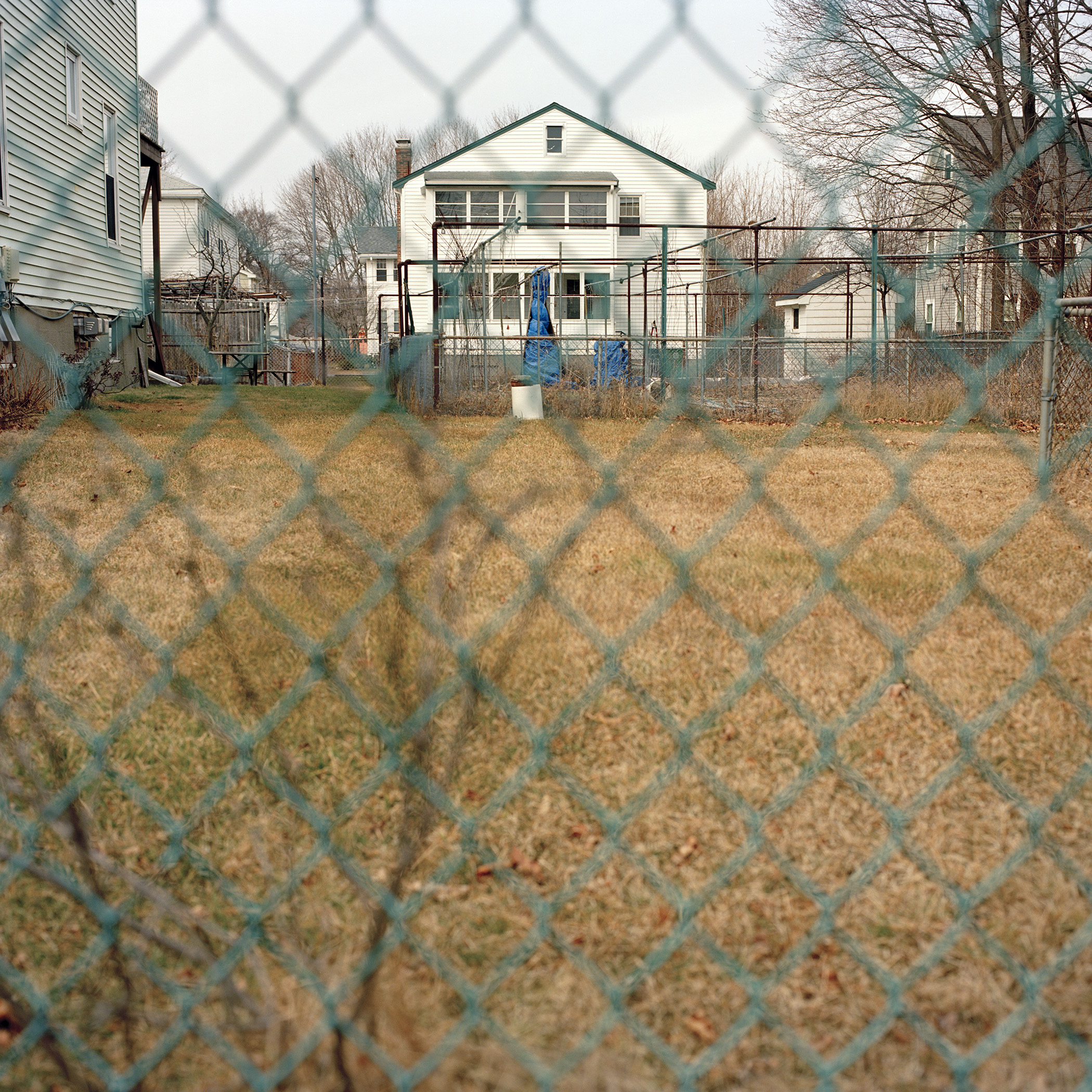 chain_link_newton_2012.jpg