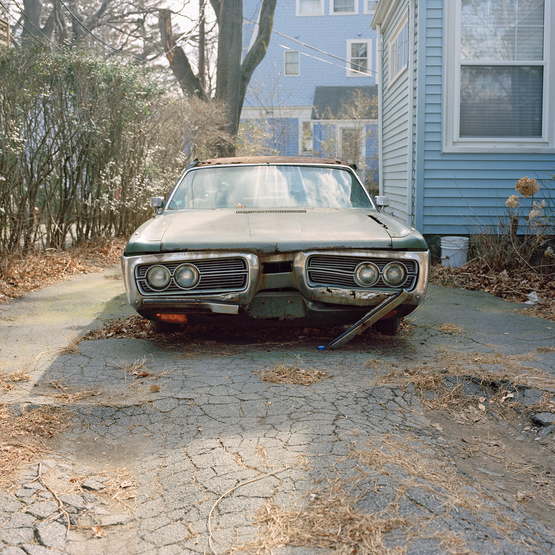 untitled_newton_2012_001.jpg