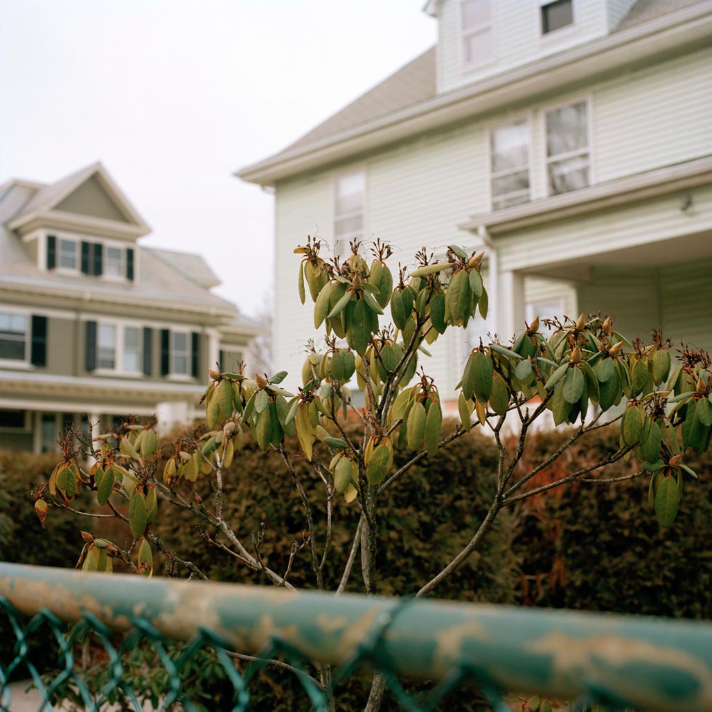 Hasselblad_Ektar_026.jpg