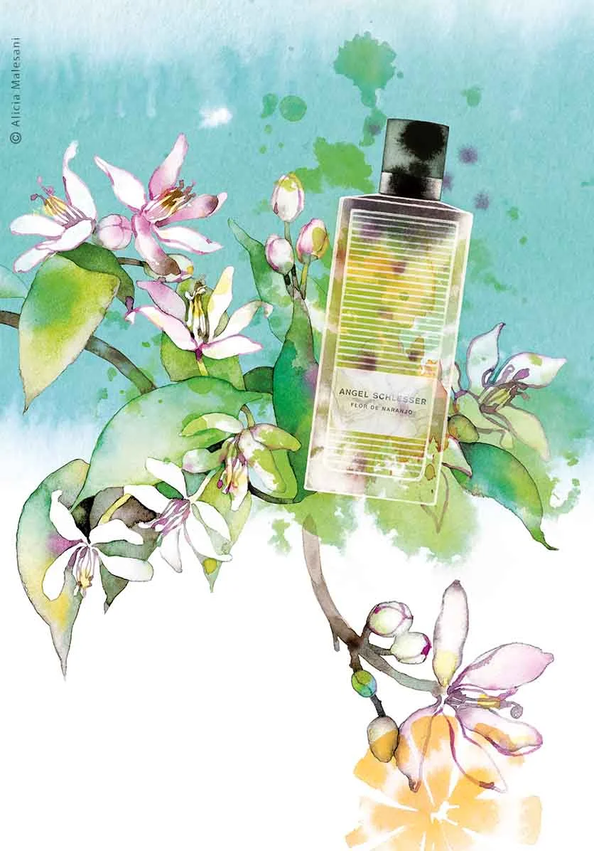 Harper's Bazaar - Angel Schlesser - Fragrances