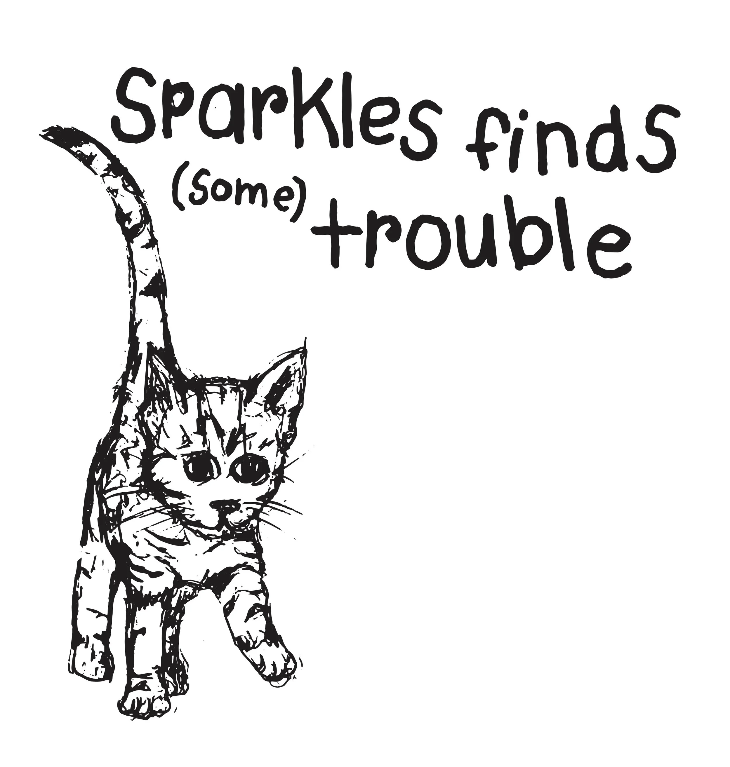 SPARKLES_cat.jpg
