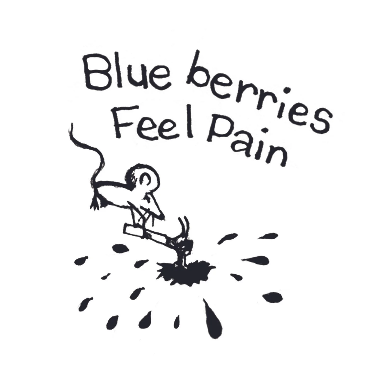 BLUEBERRIES_FEEL_PAIN_keg_cap.jpg