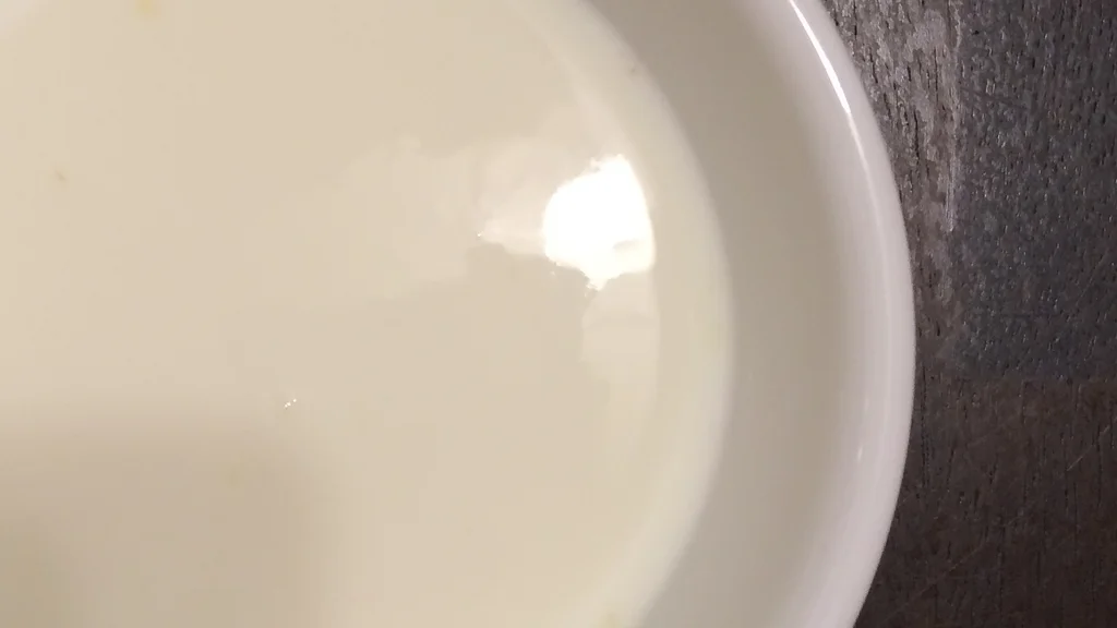 Paragon Induction Cooktop makes Hong Kong Style Ginger Milk Pudding 薑汁撞奶