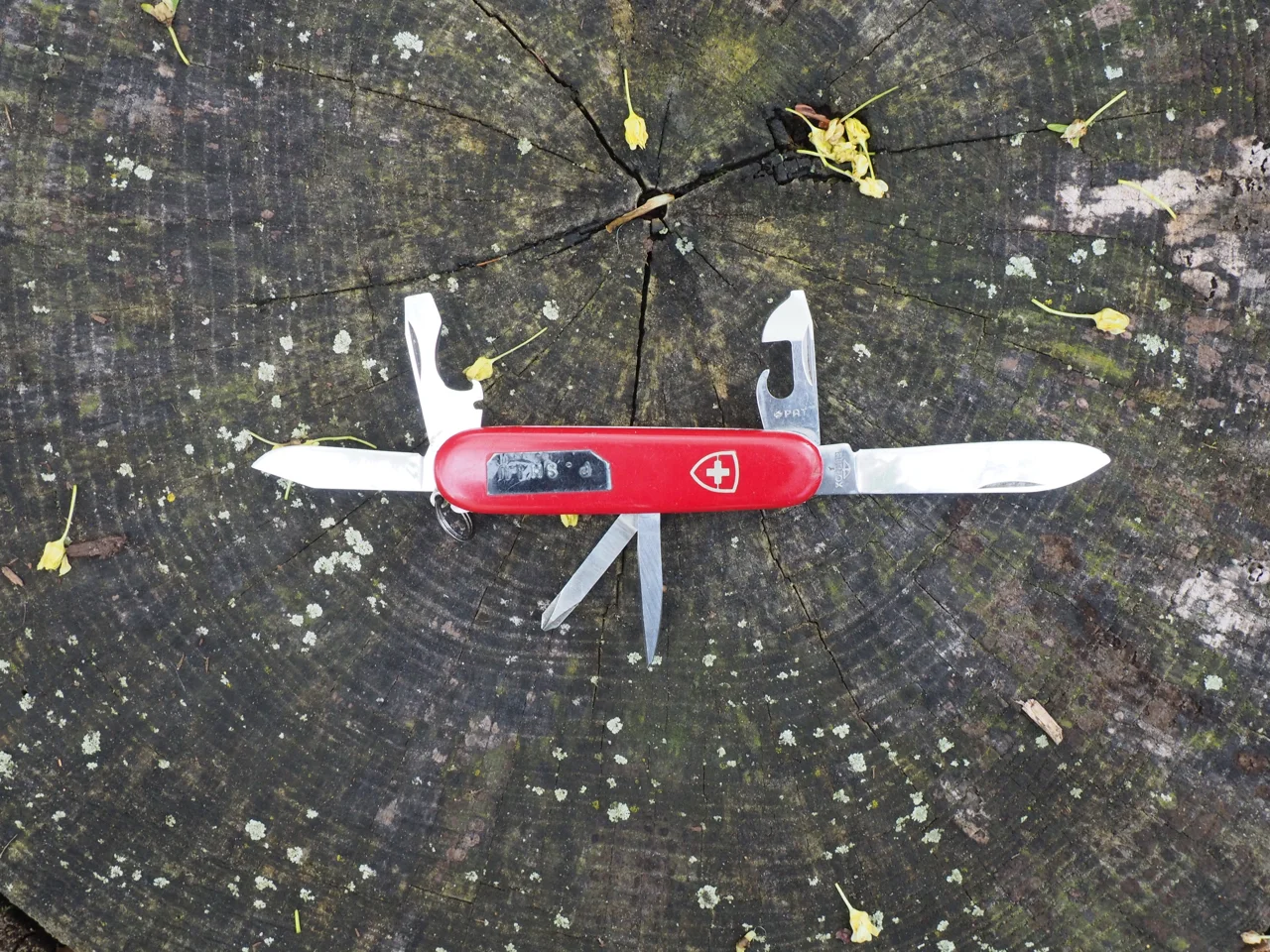 EMT01369.jpg