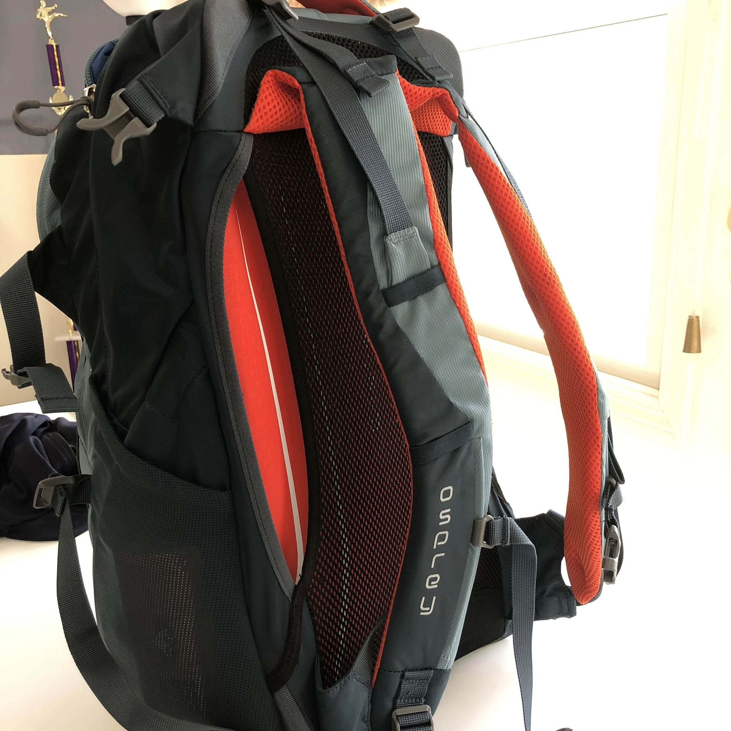 suspended mesh backpack