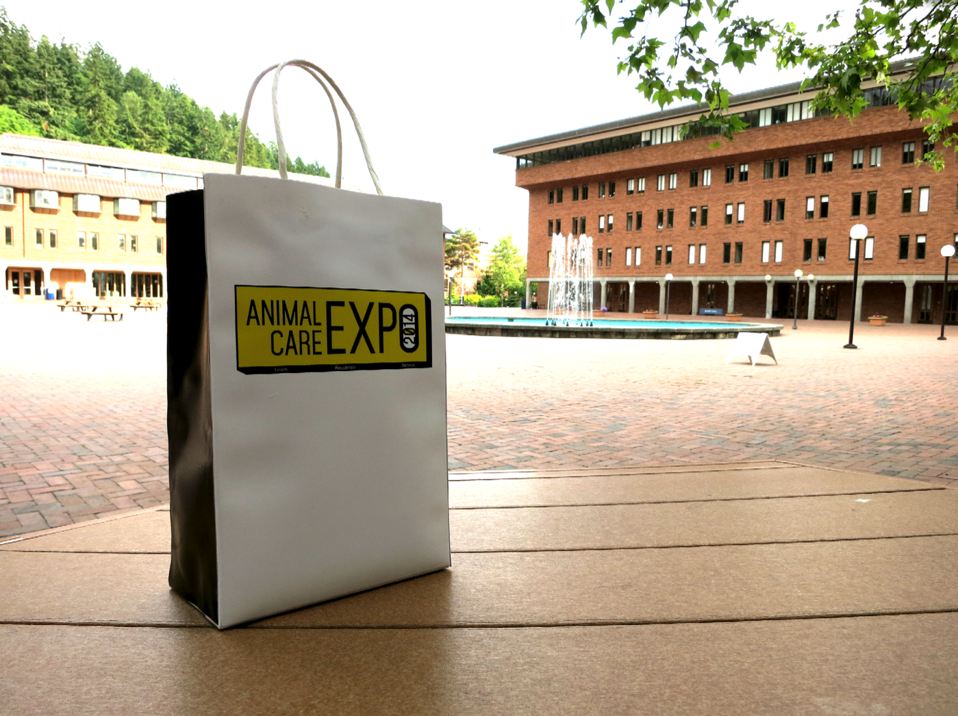 Bag for the expo