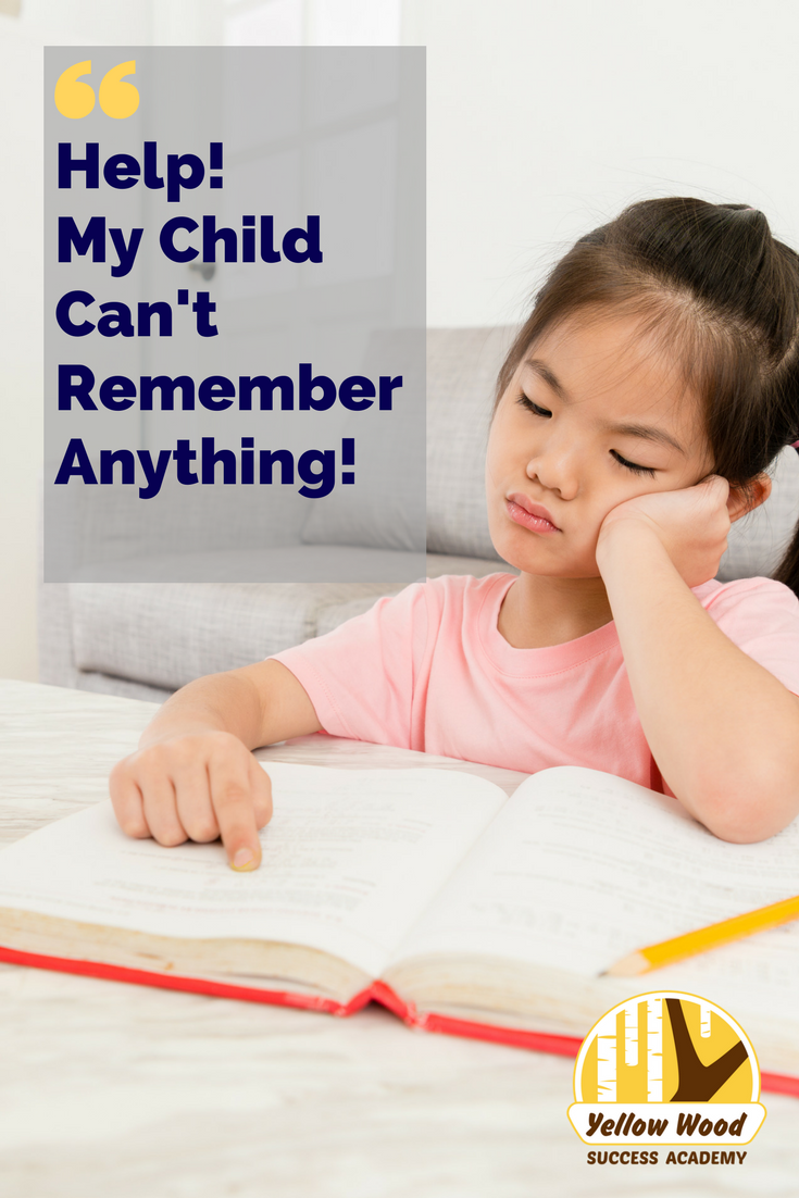 Help! My Child Doesn't Remember Anything! (3).png