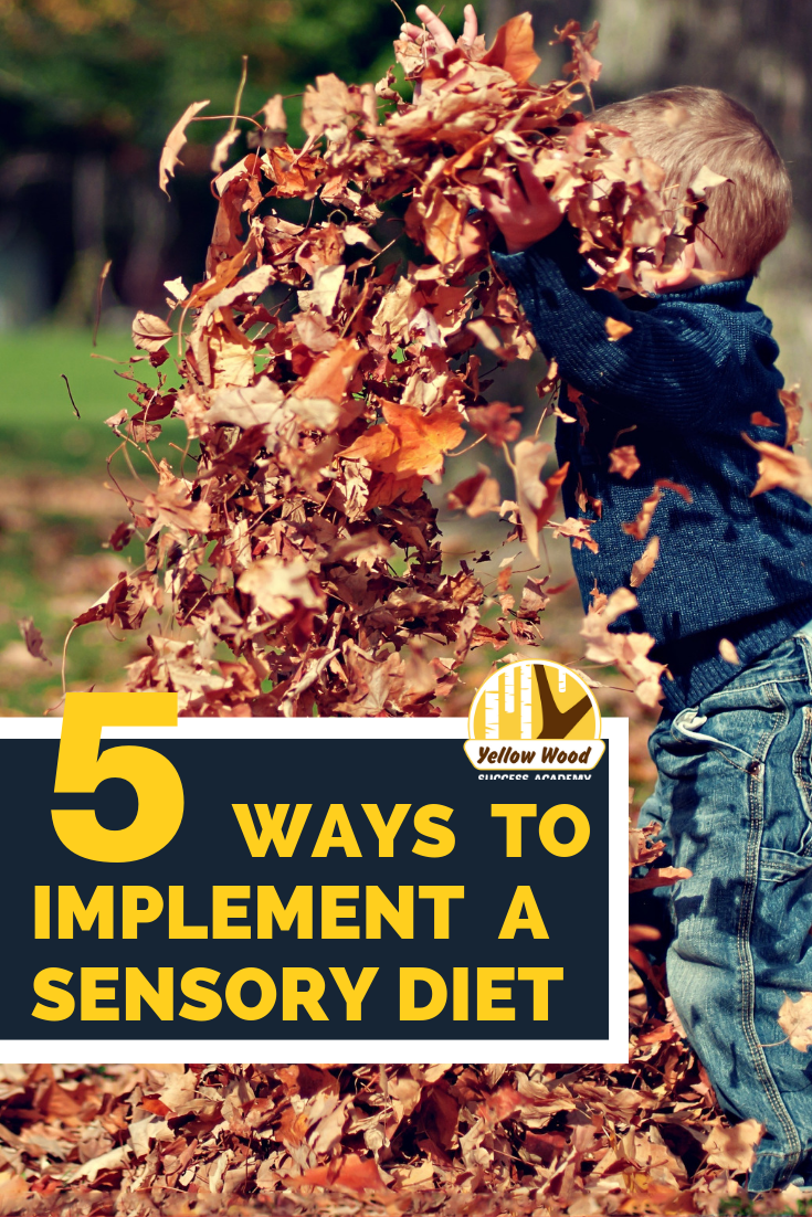 5 ways to sensory diet.png