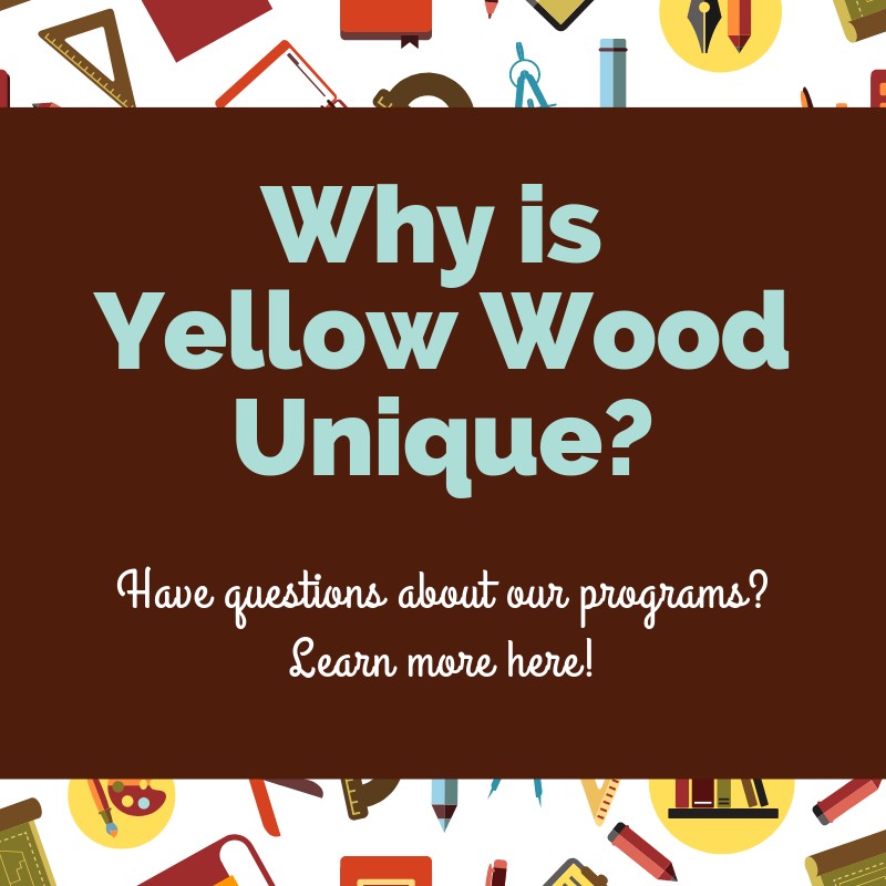 What makes Yellow Wood Unique_.png