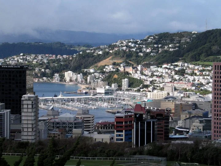 Wellington. Photo credit: 123RF