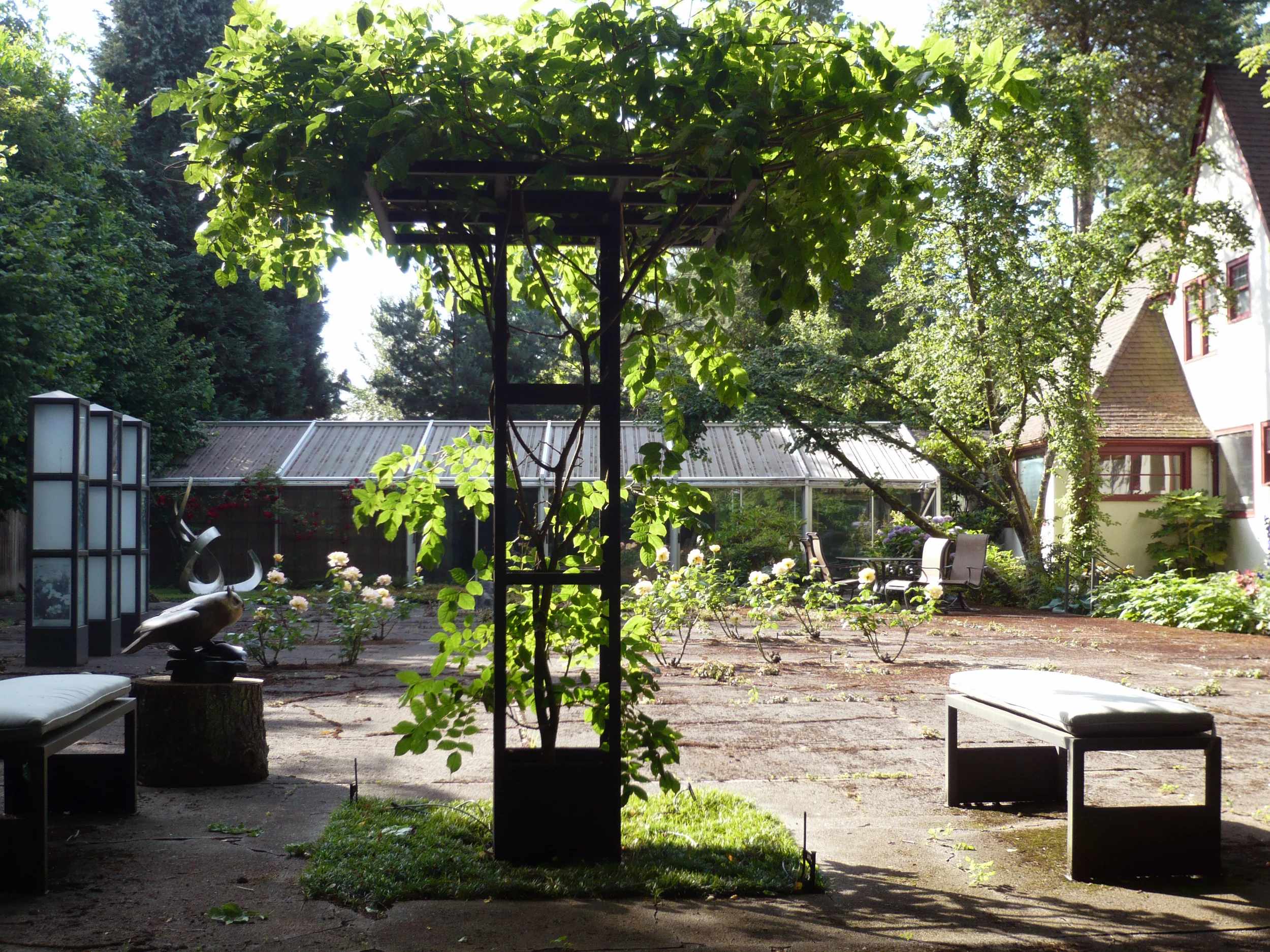GARDEN IN THE COURT ( EAST VIEW )