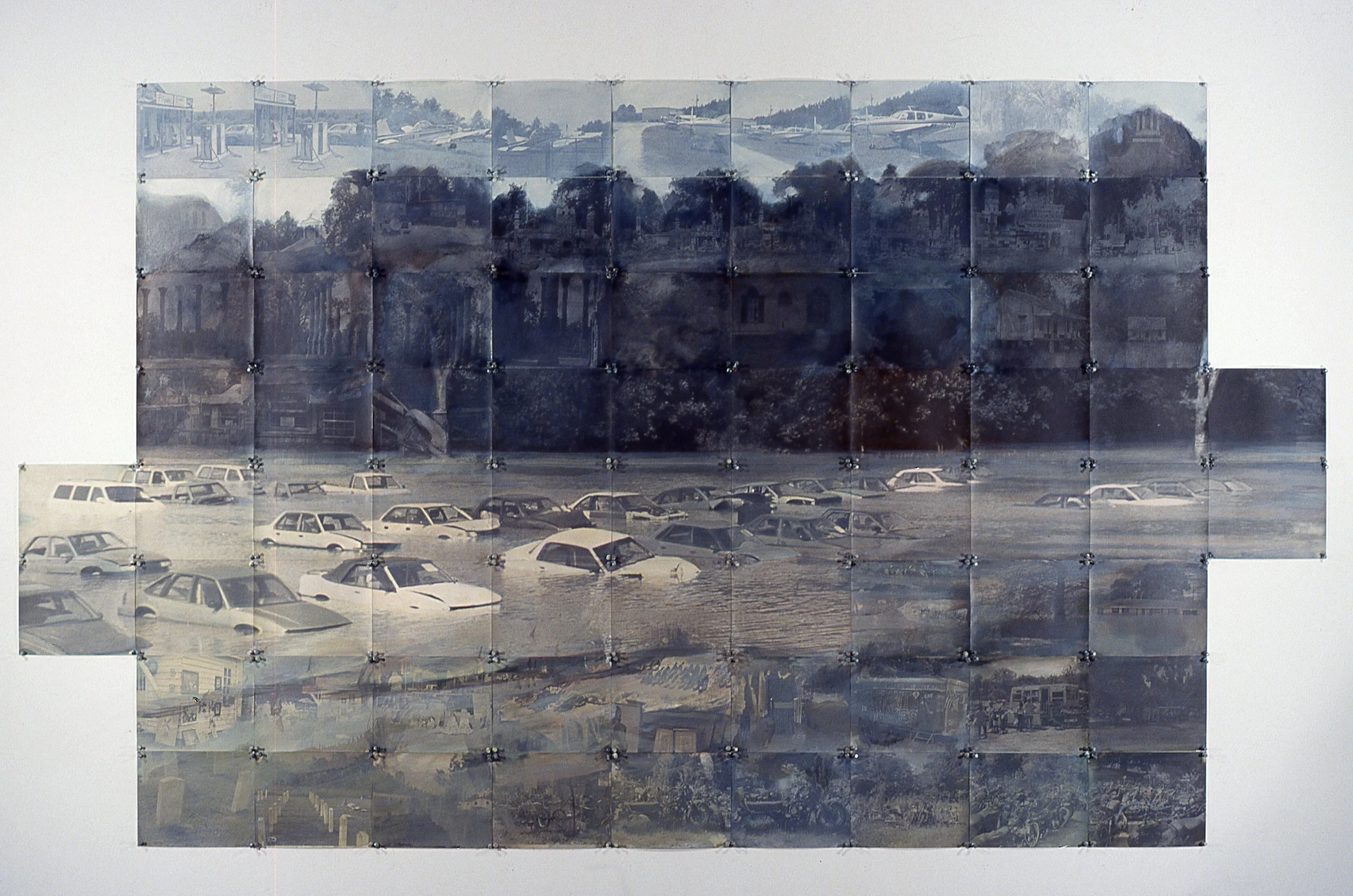 Birds of Mississippi #2, 2012, 64X110" oil on photographs, pushpins.