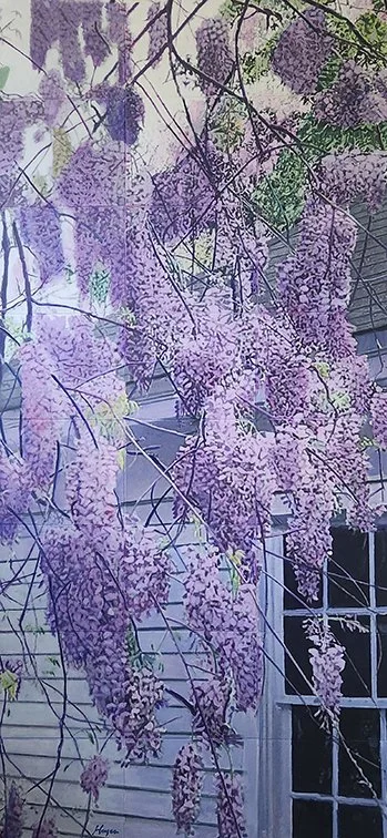 WISTERIA , (THE FAULKNER PROJECT)