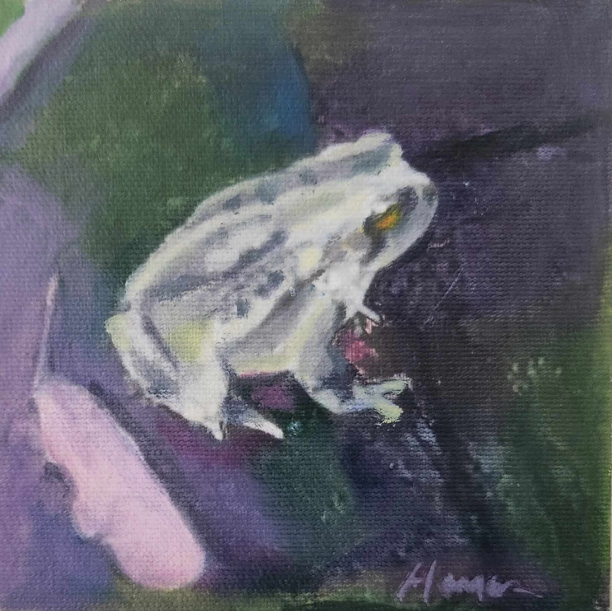 FROG ON A BRICK WALK  