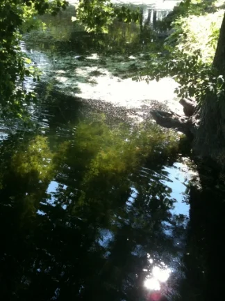 Hecks Reflection #7 11" X 8.5" Digital Photograph