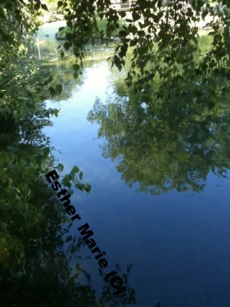 Hecks Reflection #11 11" X 8.5" Digital Photograph