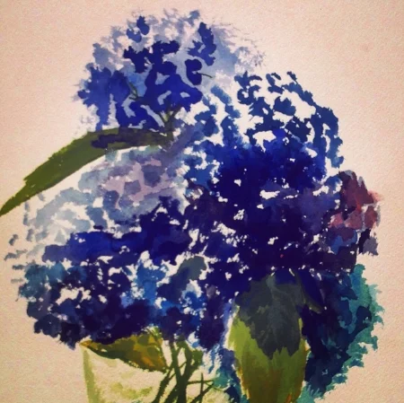 Hydrangeas, 10' x 14", watercolor