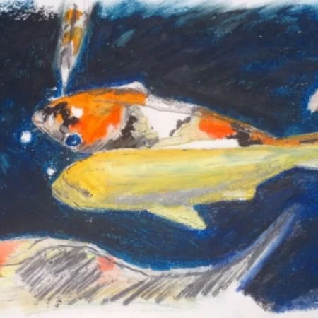 Koi 2, 8" x 11", Oil Pastel