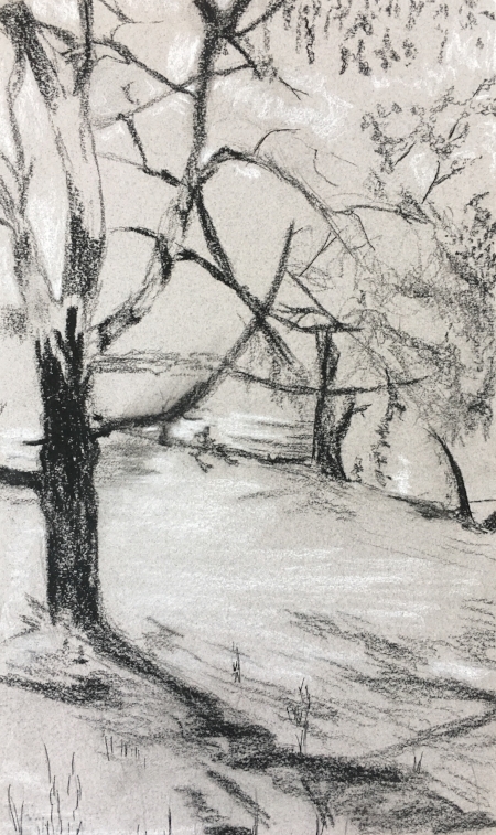 Shadows from Massive Tree at Vermont Studio Center, 8 1/2" x 11", charcoal