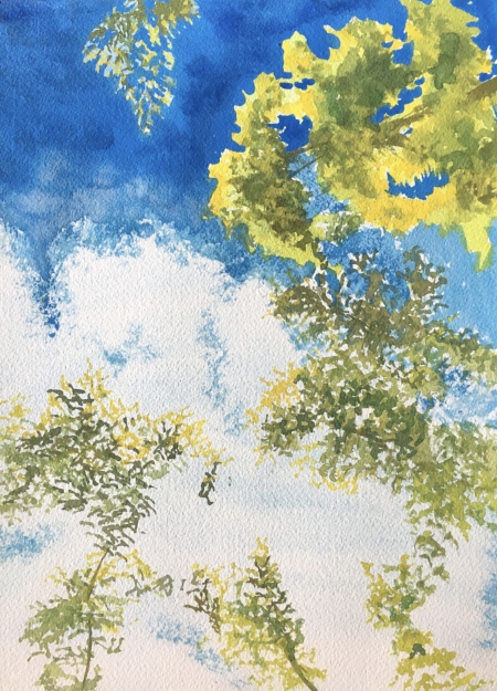 Gallery North Wet Paint Festival... Looking Up, 12" x 9", Watercolor