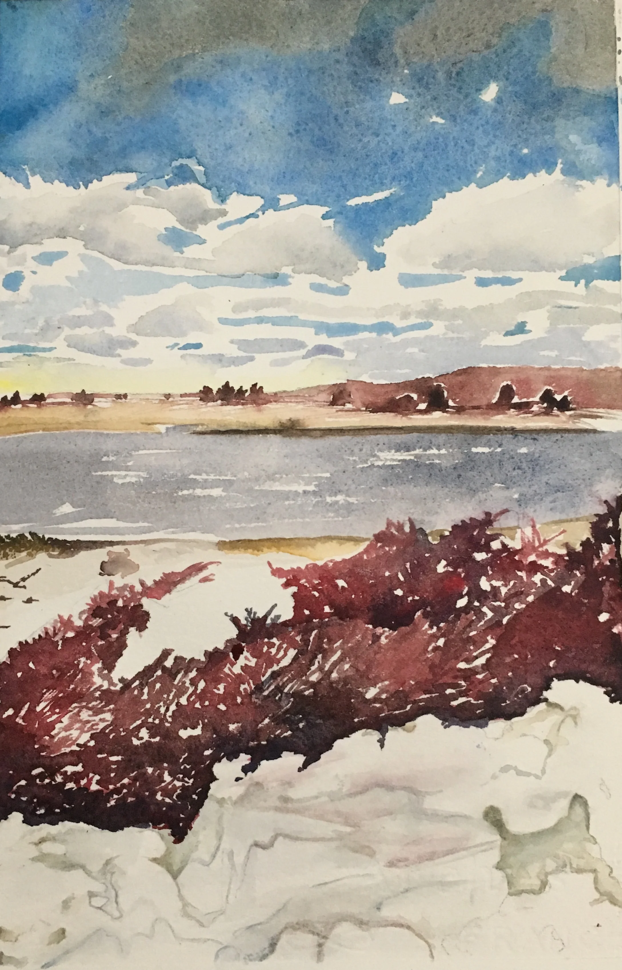 Detail of Kings Park Bluff, 28" x 11", Watercolor