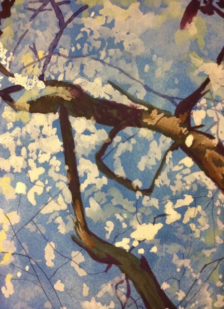 Cherry Blossom #2, 16" x 20", Gouache