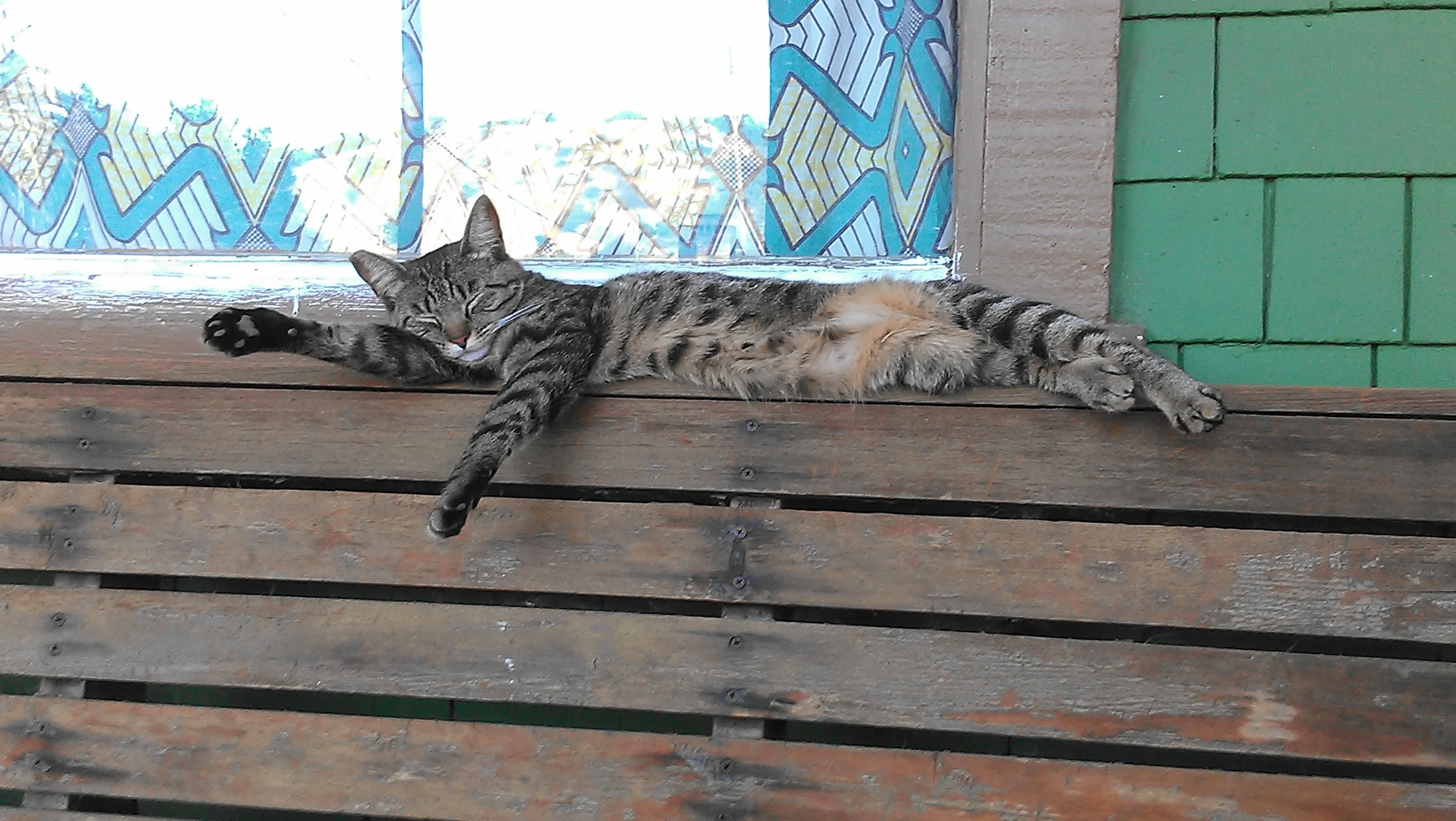IMAG0021.jpg