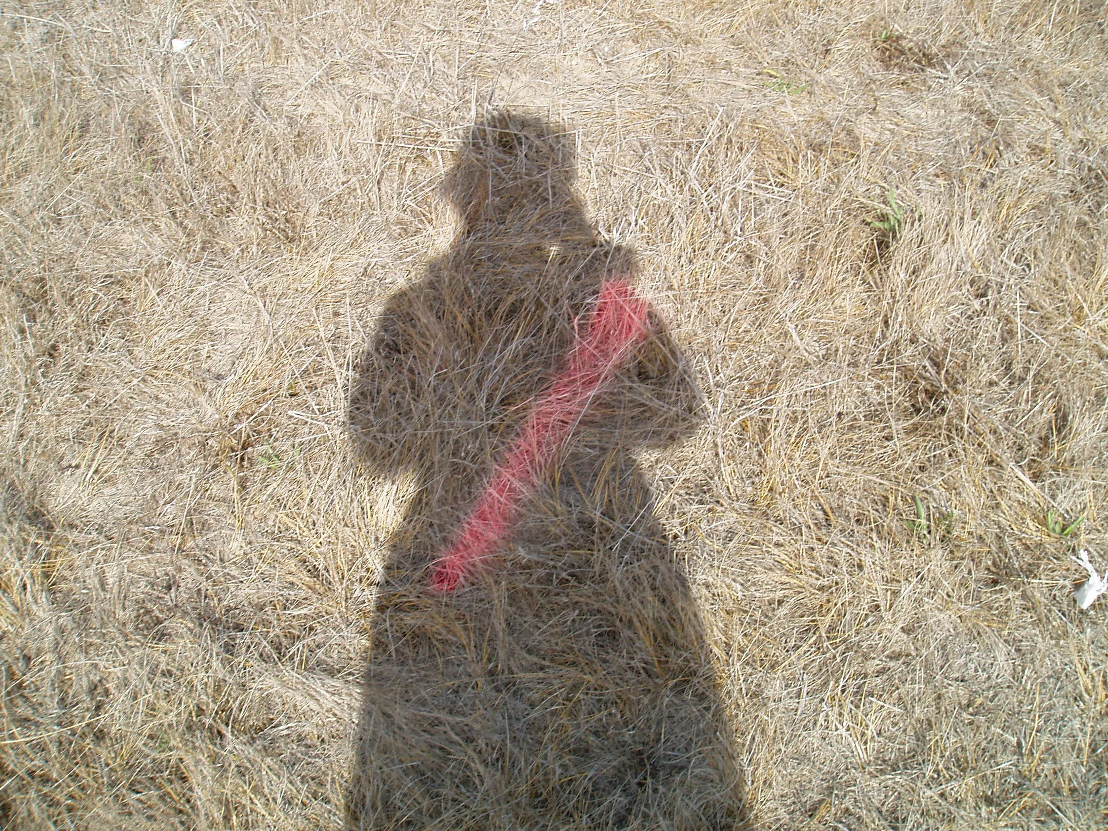 04 74 7x5300self.jpg