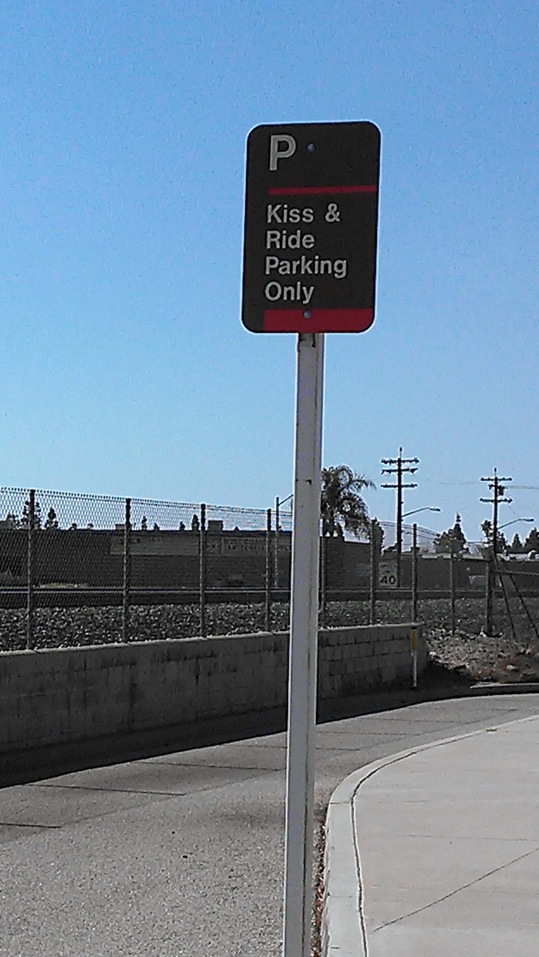 IMAG0486.jpg