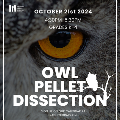 Owl Pellet Dissection