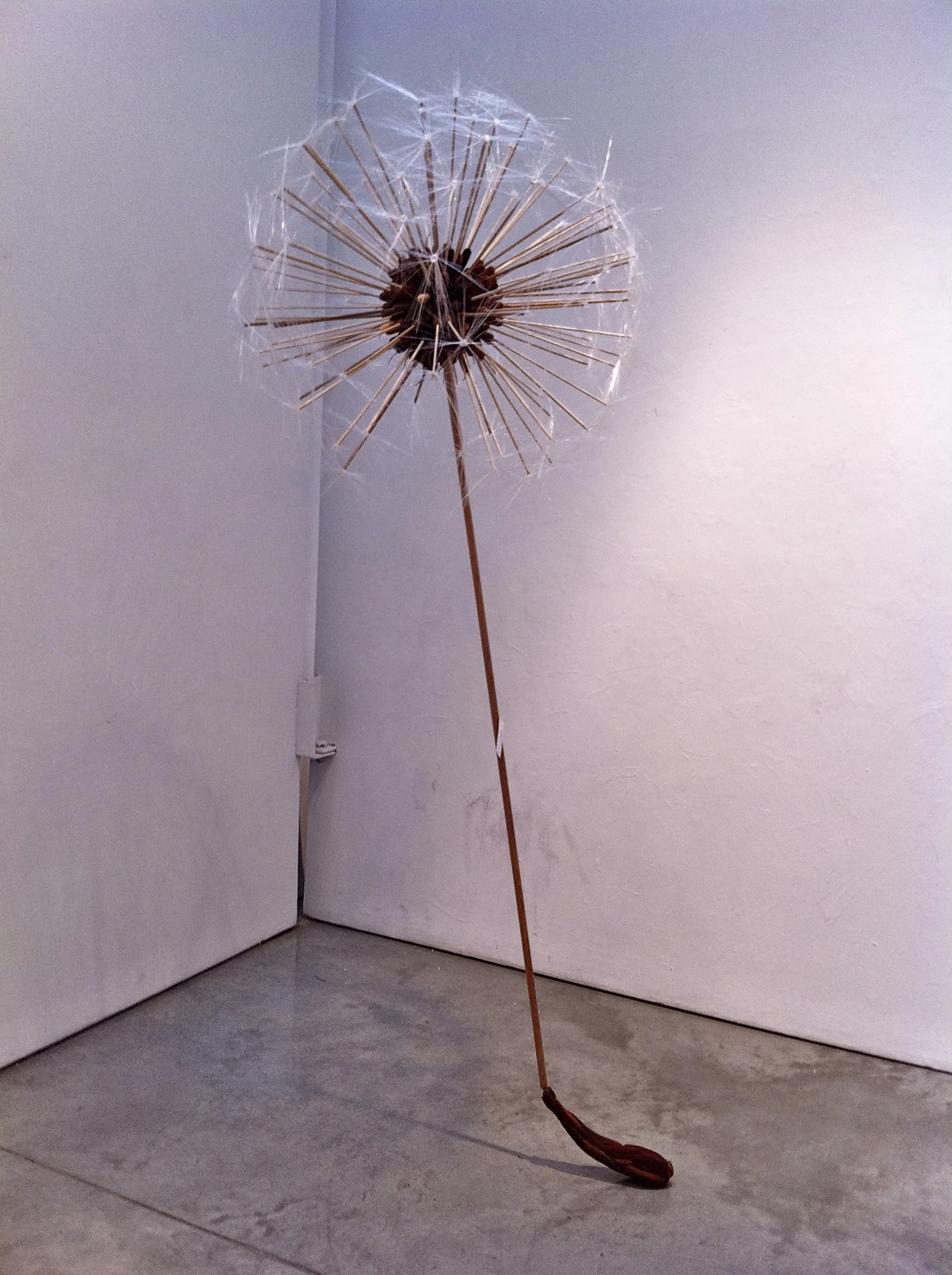 DANDELION