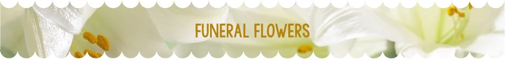 final page banners5.jpg