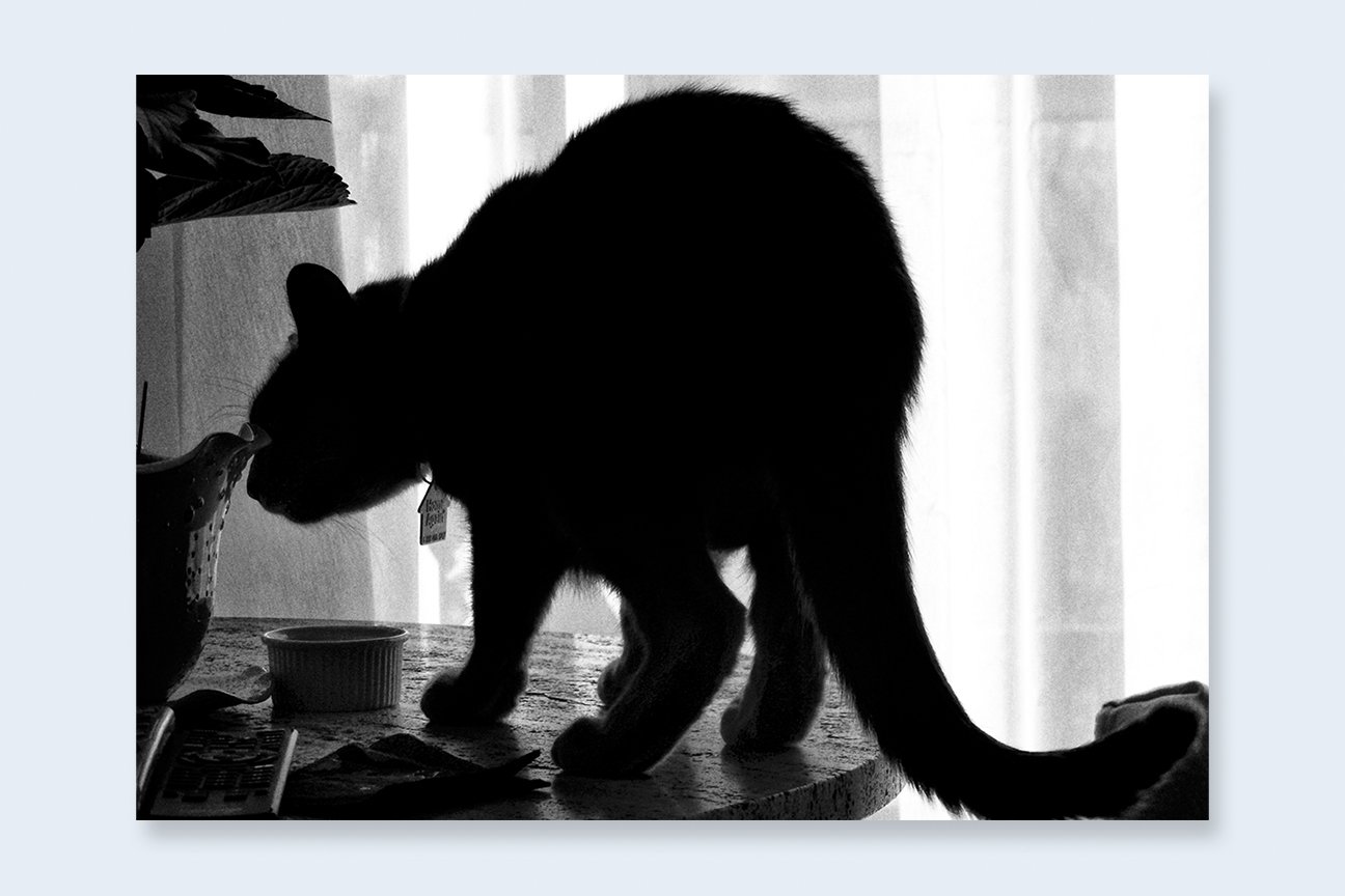 DAIDO MORIYAMA | One Picture Book Two #38 : Daido DAIDO MORIYAMA | One Picture Book Two #38 : Daido