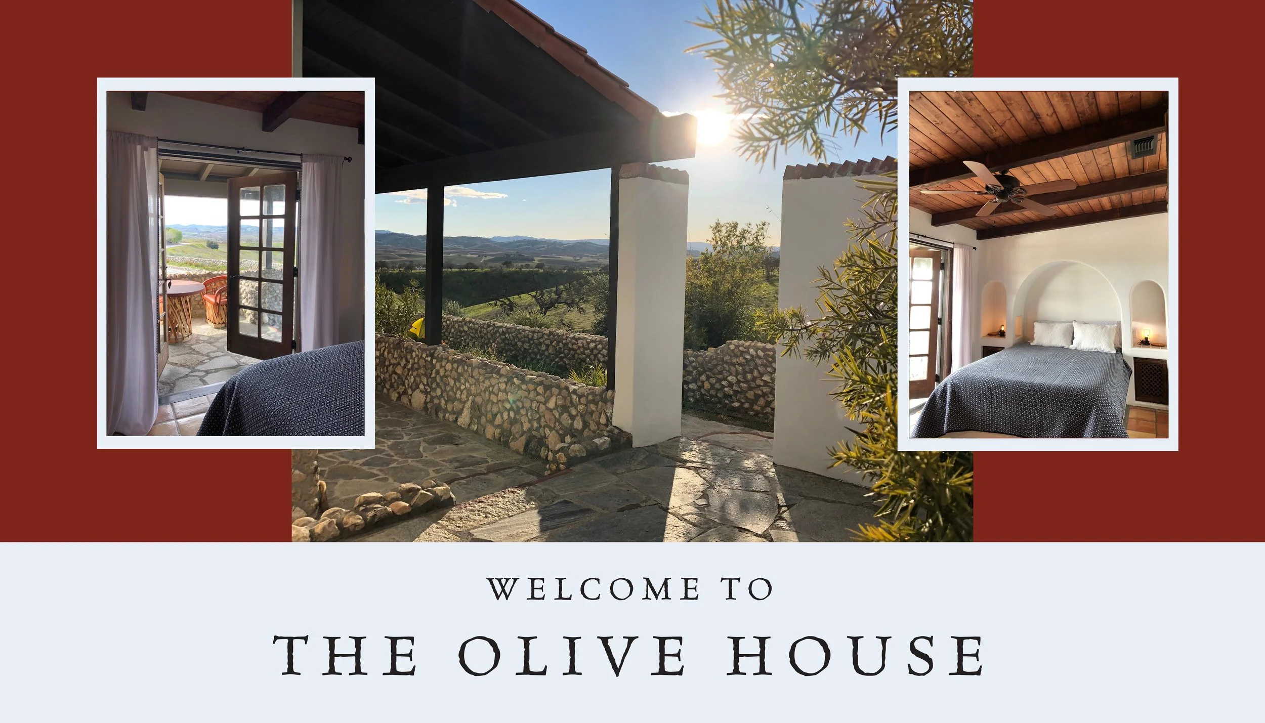A vacation home overlooking the Nazraeli Cold Press Olive Farm in Paso Robles, California. Now available through AirBnB , or by Contacting Us Directly