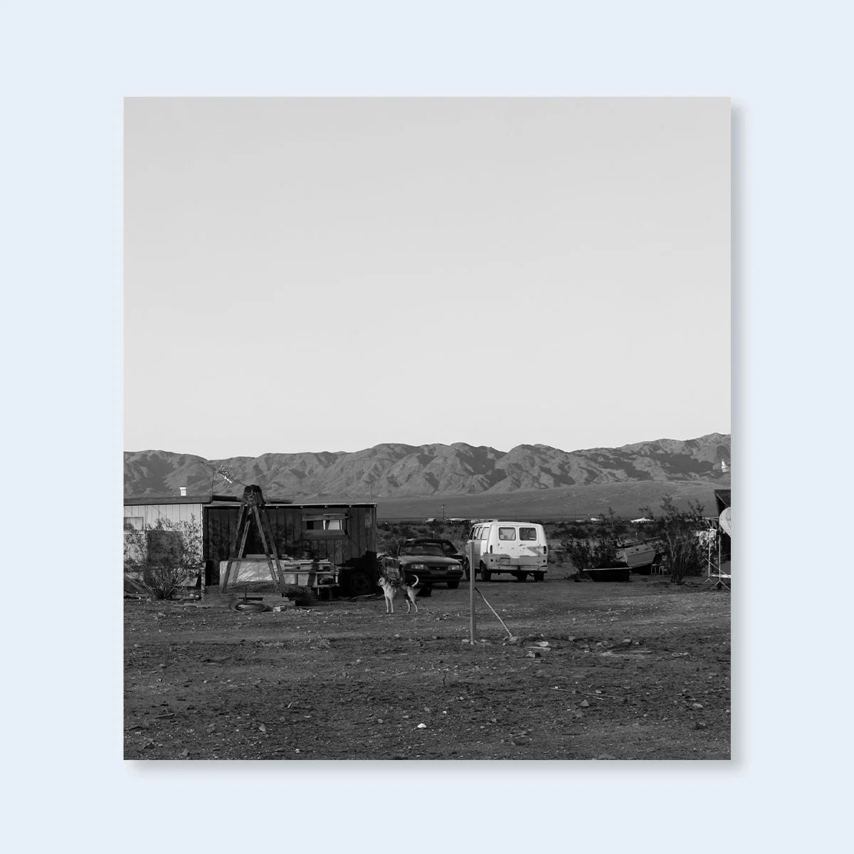 Dogs Cover.jpg