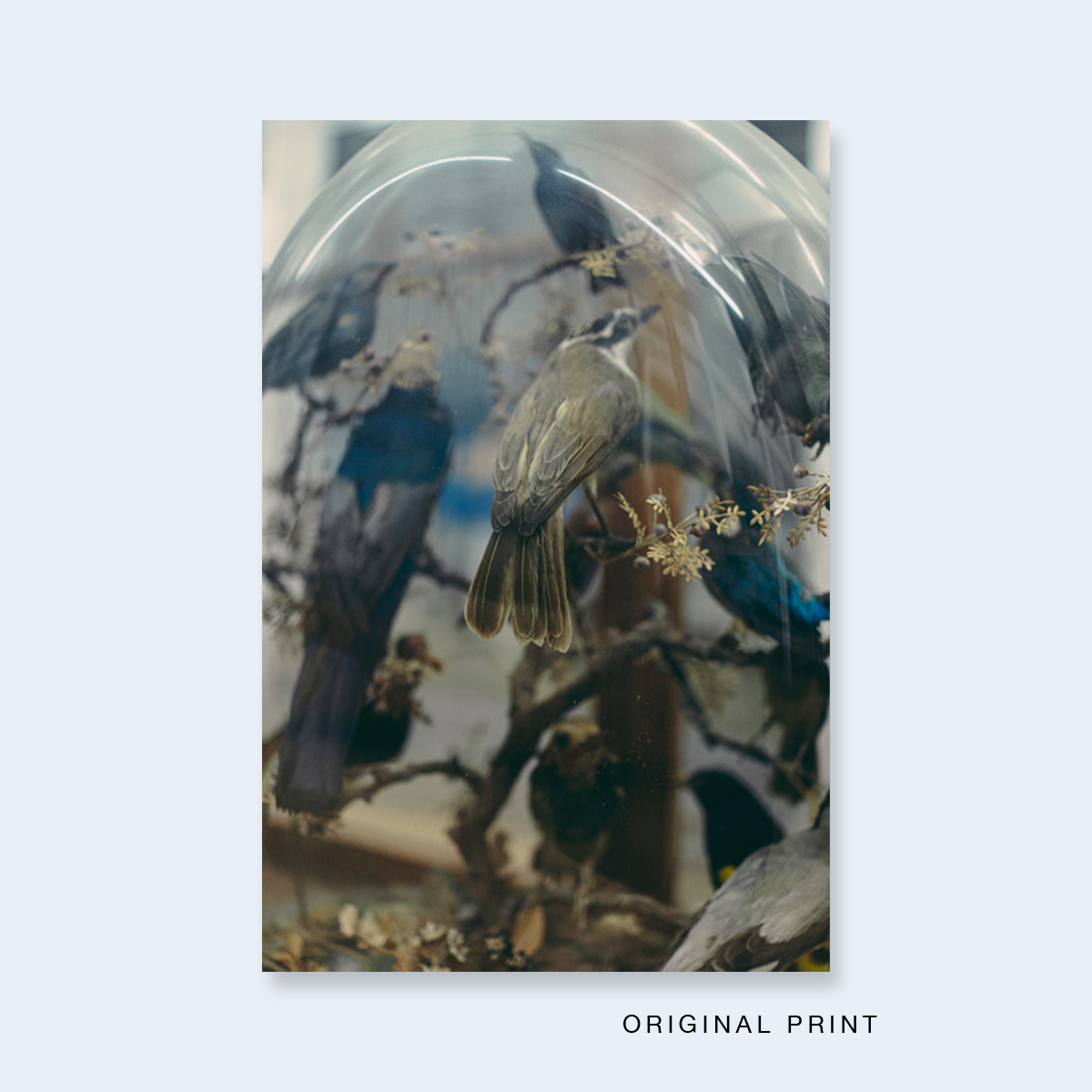 Orginal_Print_54_Francesca_Todde.png