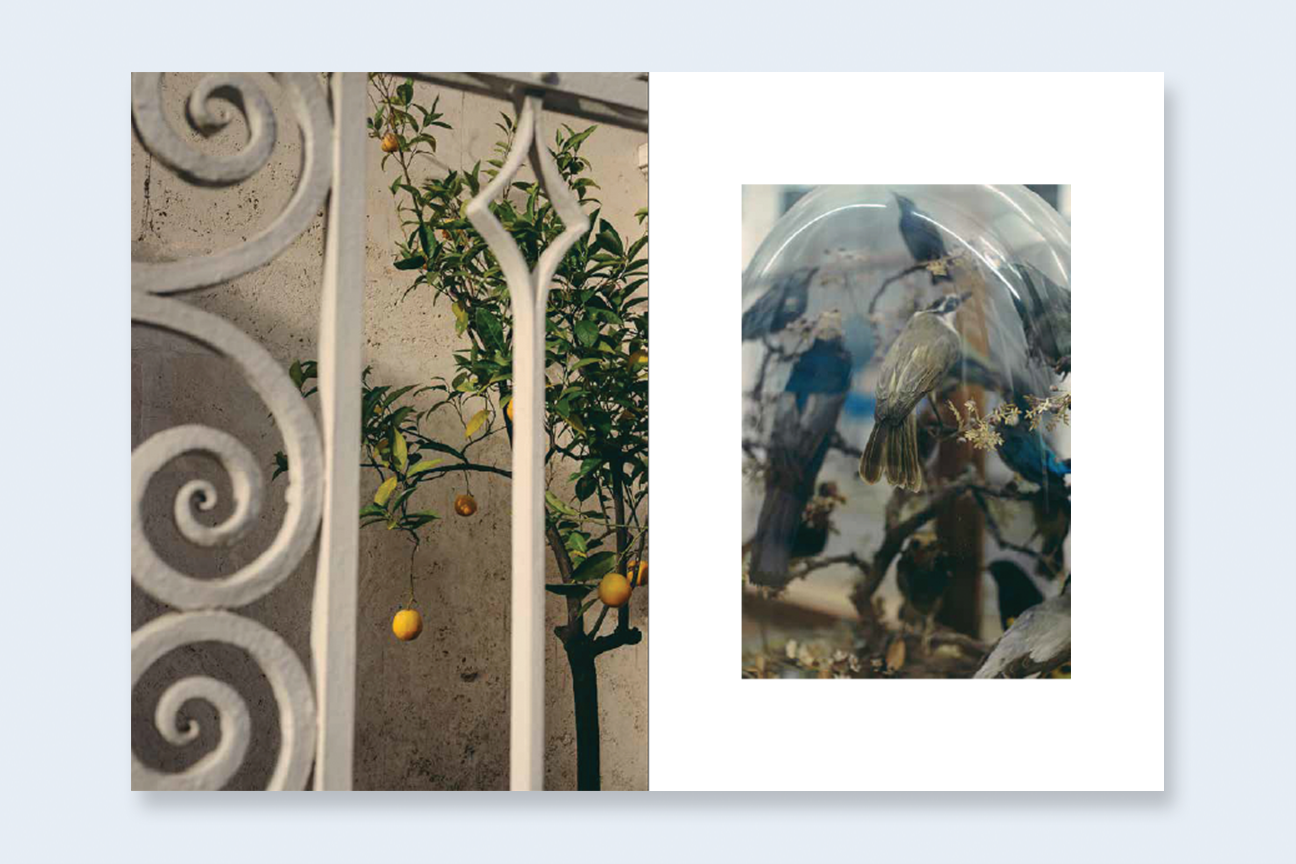 54_Francesca_Todde_Spreads_3.png