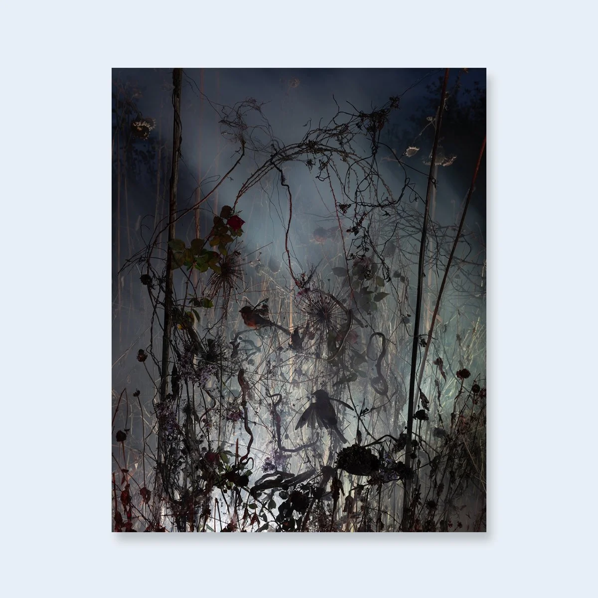 Tanya Marcuse_Workshop.jpg