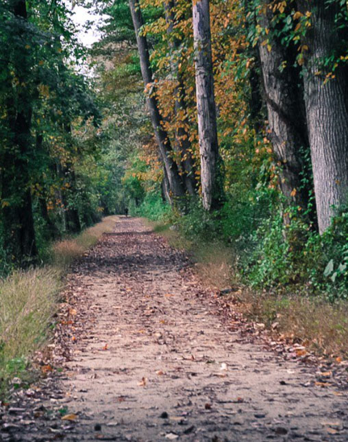 D&R Canal towpath outside Princeton, Nick Babladelis, some rights reserved CC BY NC