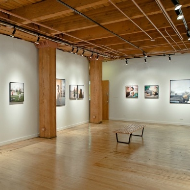 Exploring City Creatures: Panel Discussion