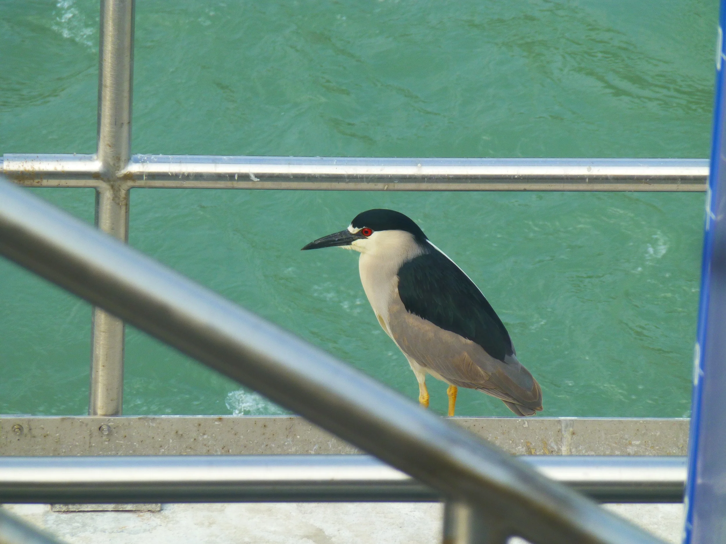 P1010362.jpg