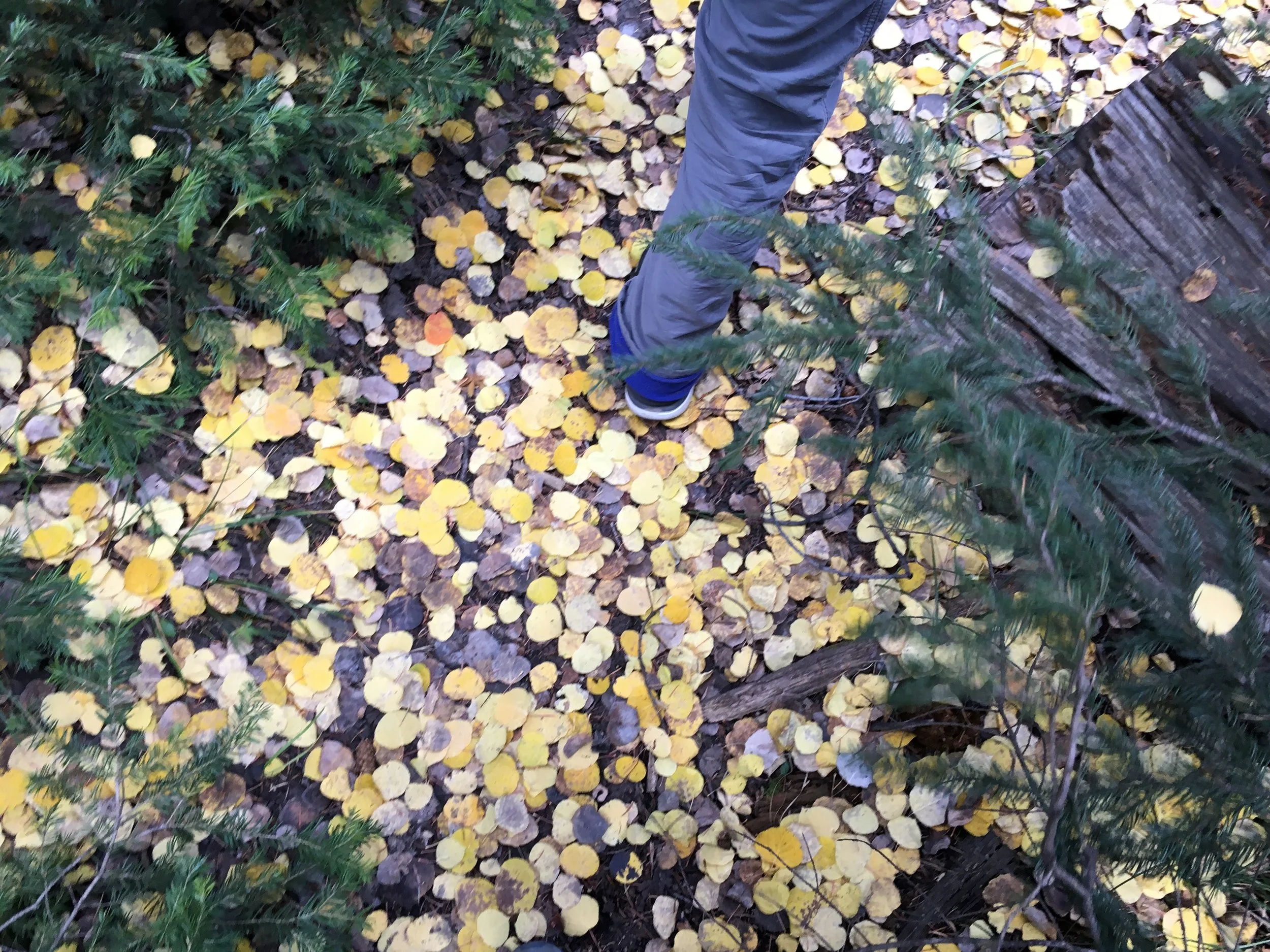 Gavin Van Horn - IMG_5916.JPG