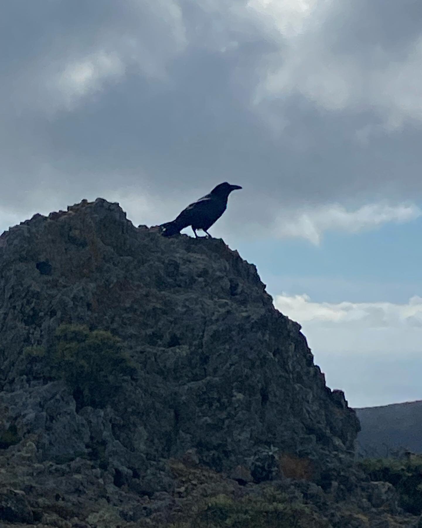 Edgewalking into 2024 
 
It&rsquo;s become customary for me to seek out a wild geographical edge on New Year&rsquo;s Day, a place that resonates with psychological and emotional edges. 
 
This year, I crossed an ocean (well, not totally epic; the cro