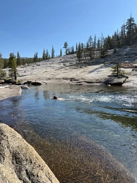 To cure what ails ya...

1) Find mountain water
2) Immerse yourself 
3) Repeat