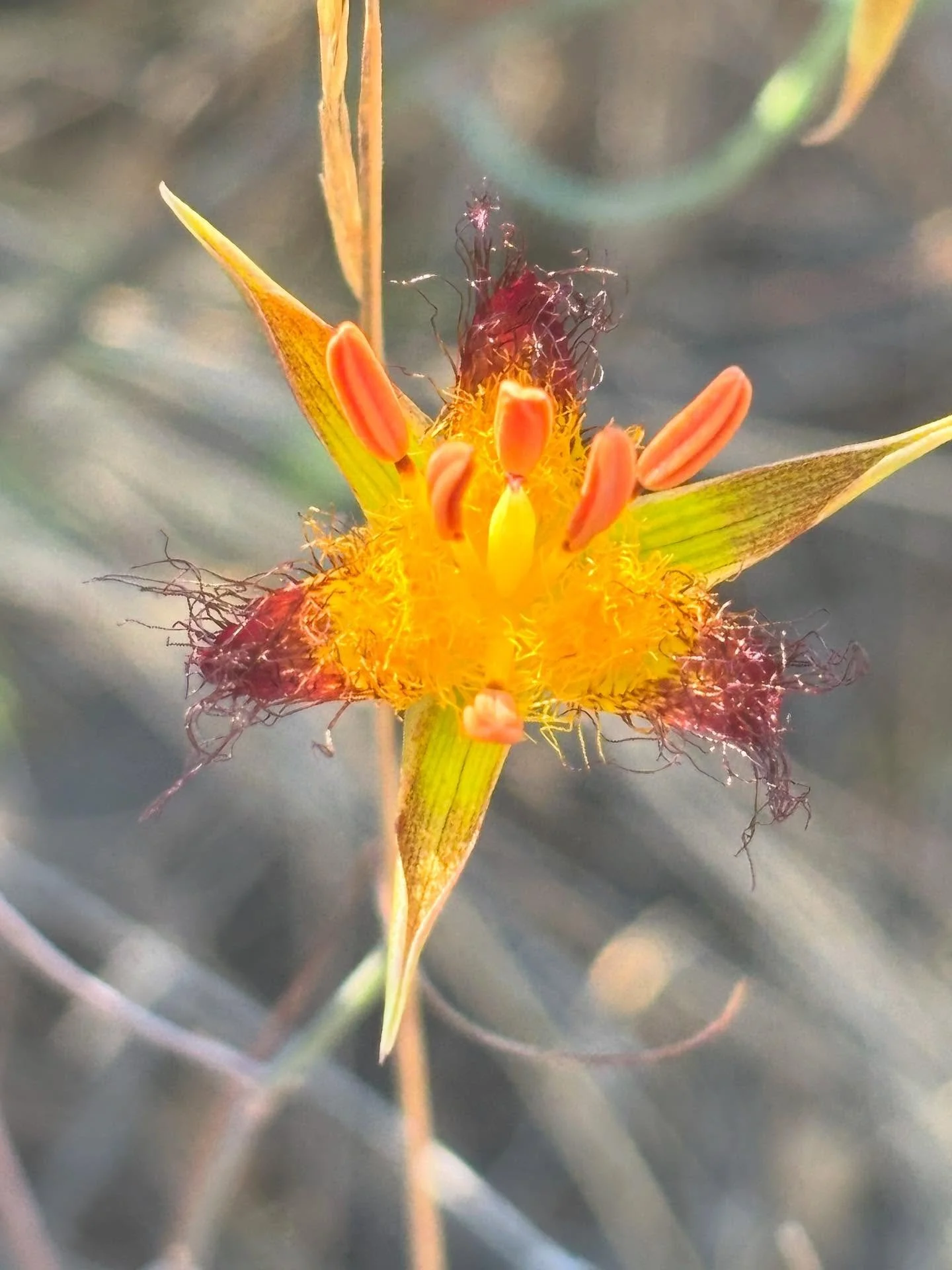 When I was like 7 or 8, on the fourth of July, my brother lit a Roman candle and told me I had ten seconds to run away (generous). In a calm and even tone, as i begged for mercy, he began: "10, 9, 8..." I can only recall the terrifying and 