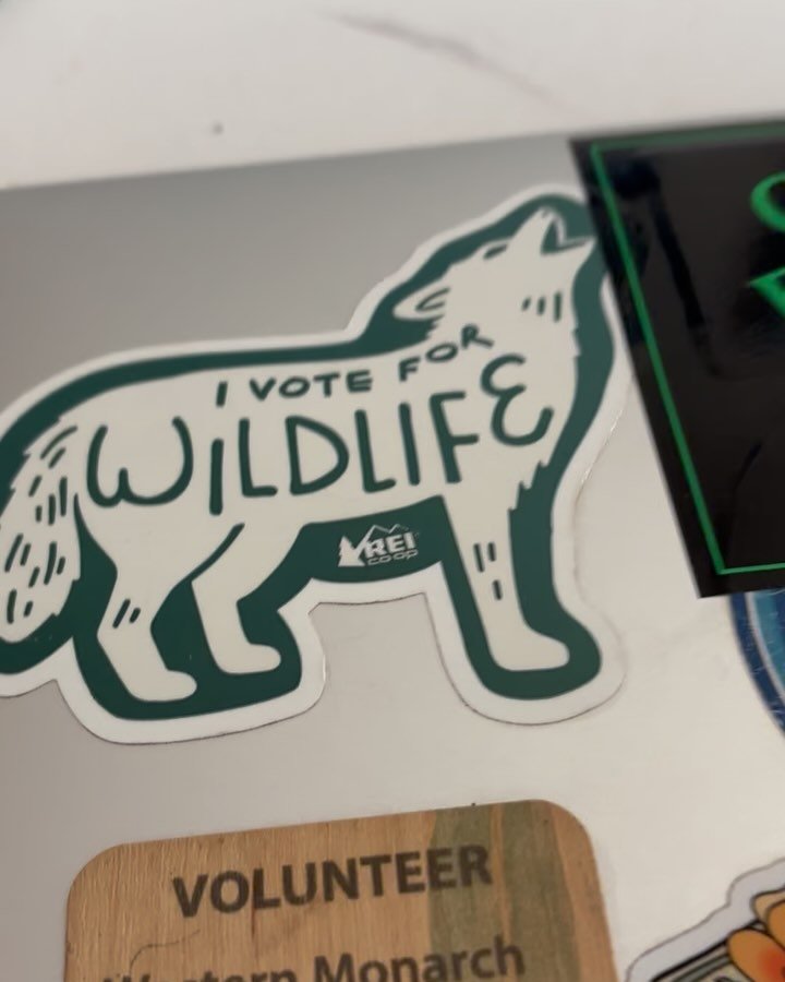 Special delivery. An exciting package awaiting in the mail for me when I returned last night from a trip to Chicago. The PAPERBACK version of my book *The Way of Coyote.* Since I don&rsquo;t always post about the writing life, some of you might not k