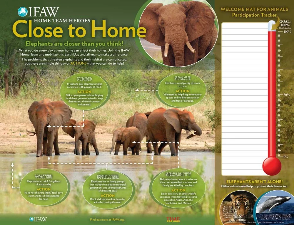 International Fund for Animal Welfare (IFAW)