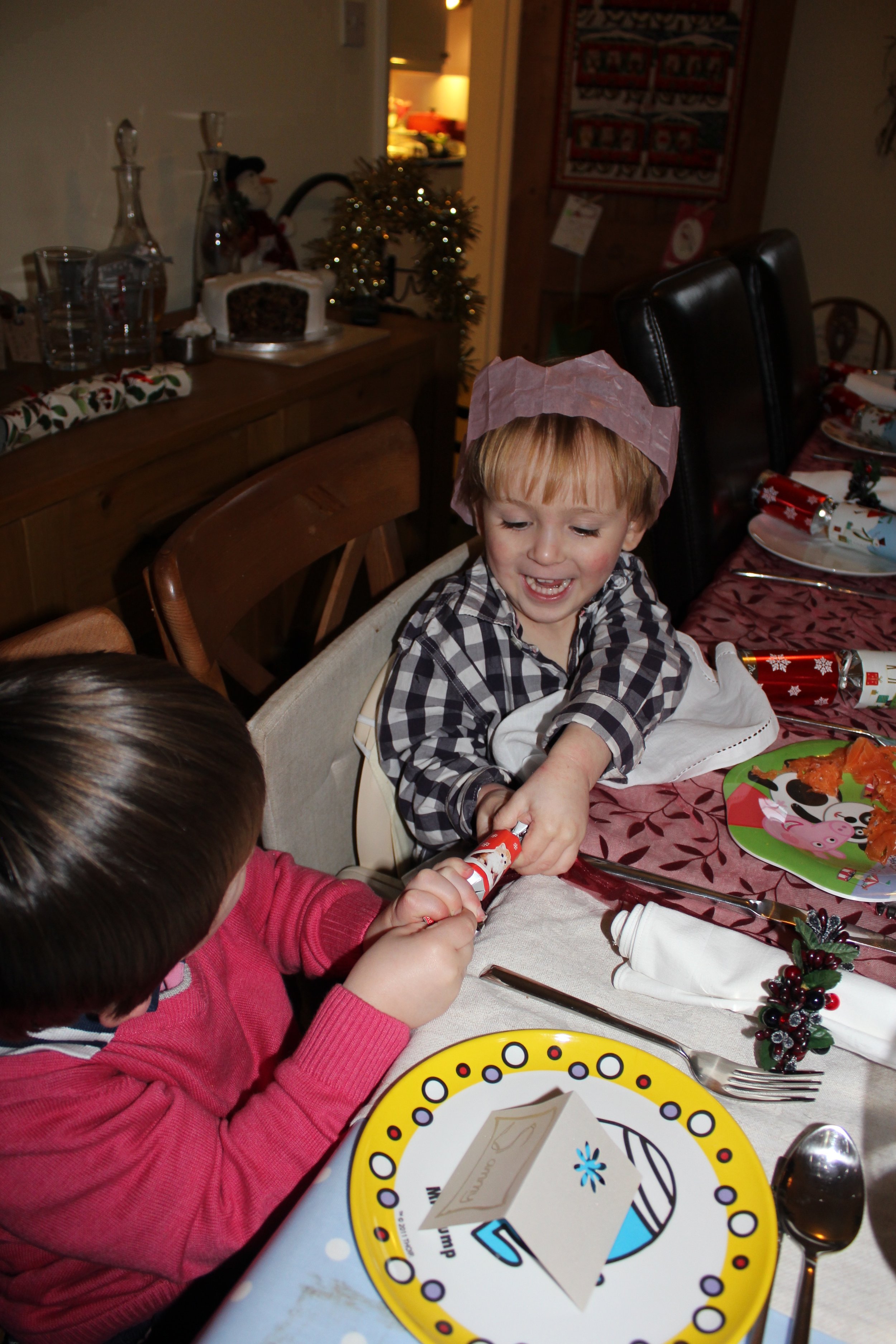 Happy Families - Skye and his cousin - Christmas 2011