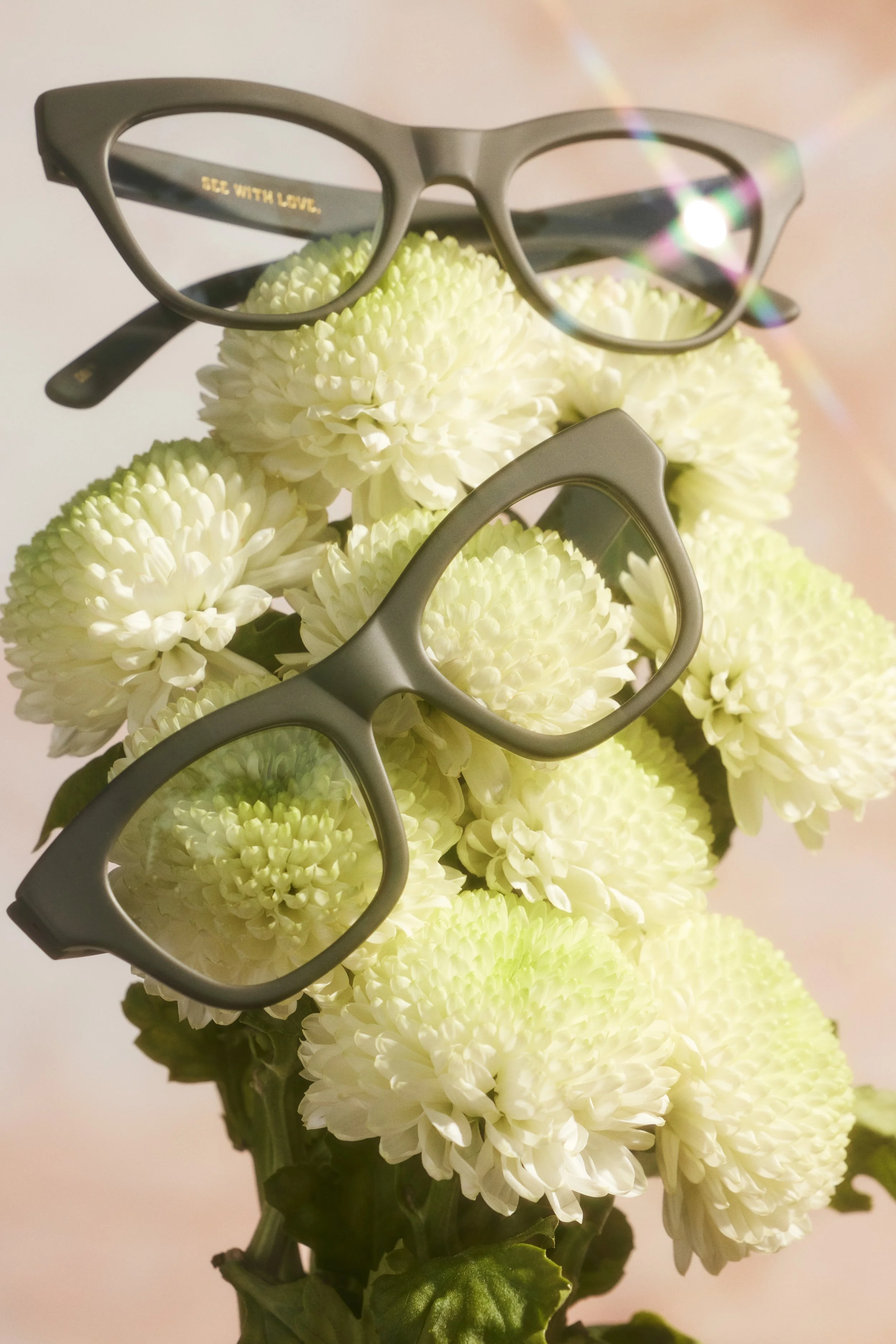 DL_Eyewear_112321_0015 2.jpg